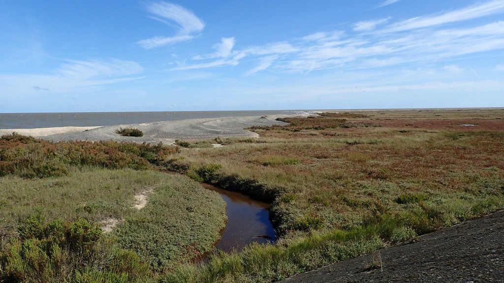 A salt marsh in west Asia. The foreground is a flat, largely blank landscape with a few short pale green and reddish plants. A narrow stream runs through the center. A salt lake can be seen in the background.